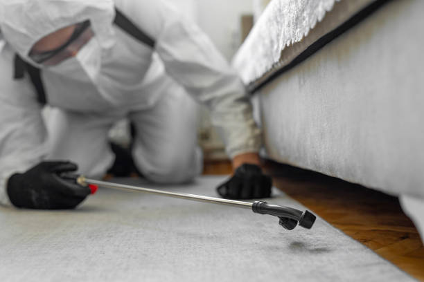 Professional Cockroach Control technician working in Houston, PA