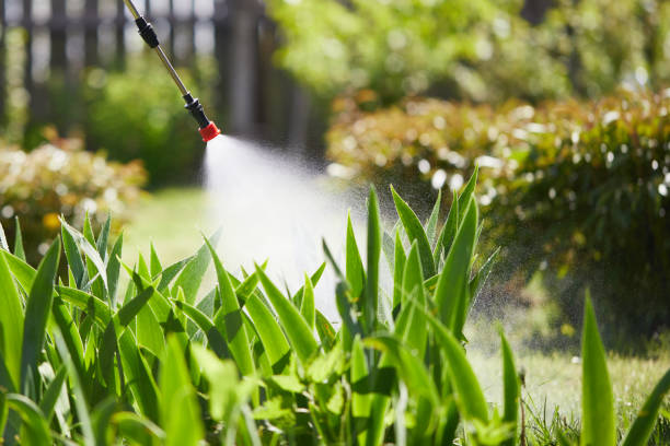 24/7 Emergency Cockroach Control experts in Houston, PA