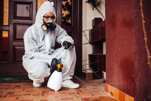 Reliable Cockroach Control contractor in Houston, PA by Nex Pest Control